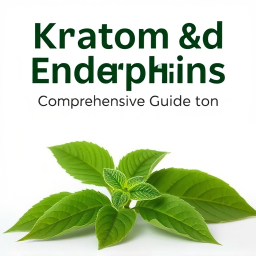 Kratom and Endorphins: Comprehensive Guide to Pain Relief