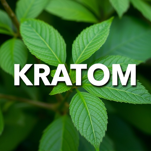 kratom leaves