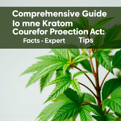 Comprehensive Guide to Kratom Consumer Protection Act: Facts & Expert Tips