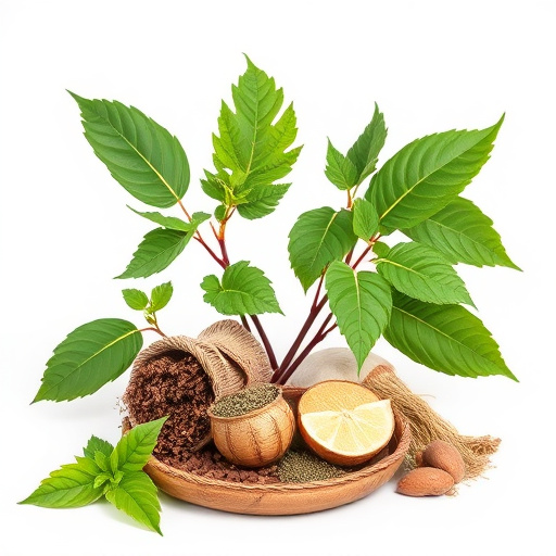 Unlock Kratom's Power: Comprehensive Fermentation Guide