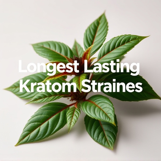 Uncover Longest Lasting Kratom Strains: Expert Guide to Durability