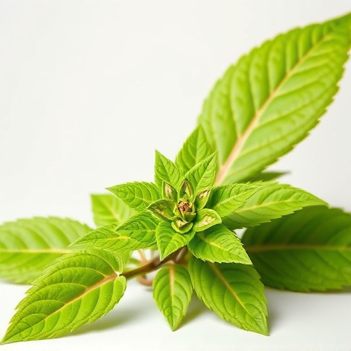 Unveiling Kratom’s Color Code: Potency Secrets Revealed