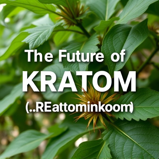 kratom leaves