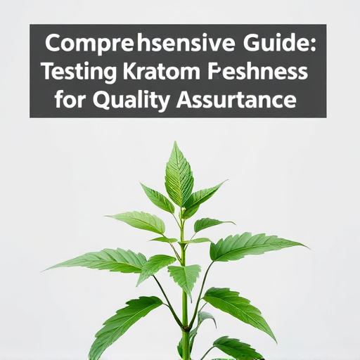 Comprehensive Guide: Testing Kratom Freshness for Quality Assurance