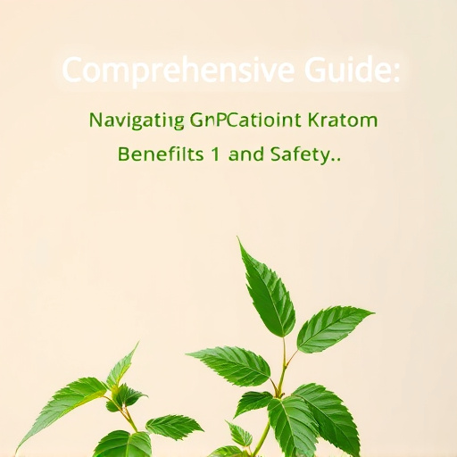 Comprehensive Guide: Navigating GMP Certified Kratom Benefits and Safety