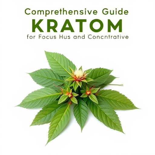 Comprehensive Guide: Kratom for Focus and Concentration