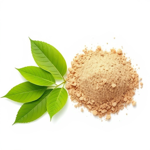 Kratom Extract vs Powder: Unveiling Key Differences and Benefits