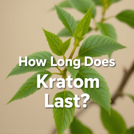 Comprehensive Guide: How Long Does Kratom Last?