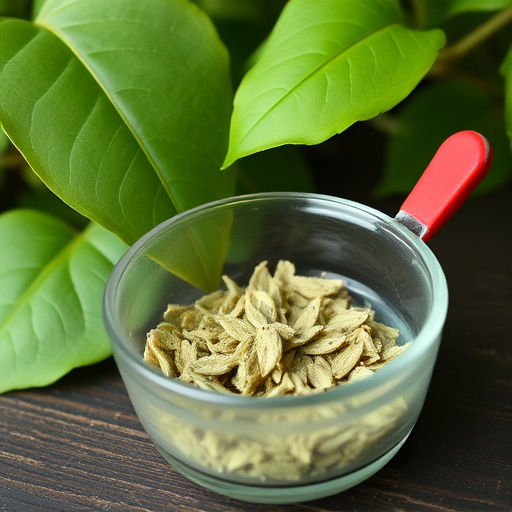 kratom leaves