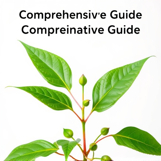 Comprehensive Guide: Unveiling Green Vein Kratom's Power