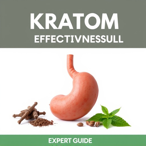 Kratom Effectiveness: Empty Stomach vs Full – Expert Guide
