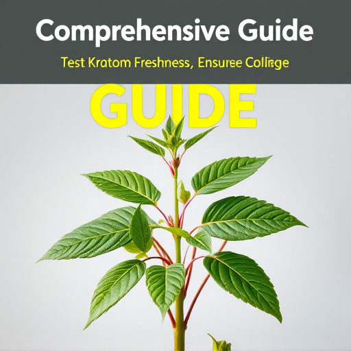 Comprehensive Guide: Test Kratom Freshness, Ensure Quality Benefits