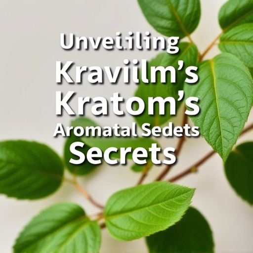 Unveiling Kratom's Aromatic Secrets: Guide to Smell and Taste