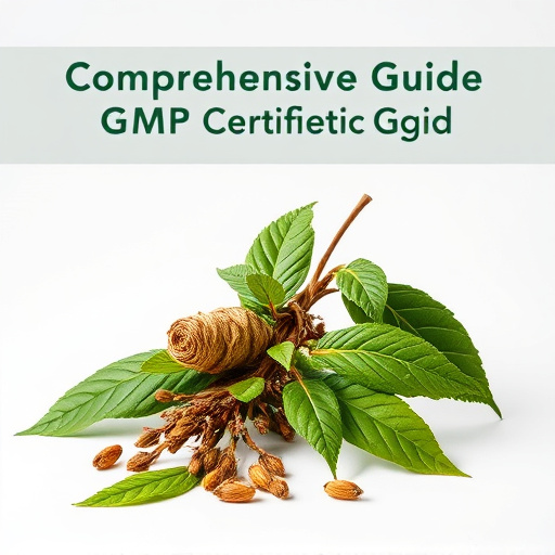 Comprehensive Guide to GMP Certified Kratom Explained