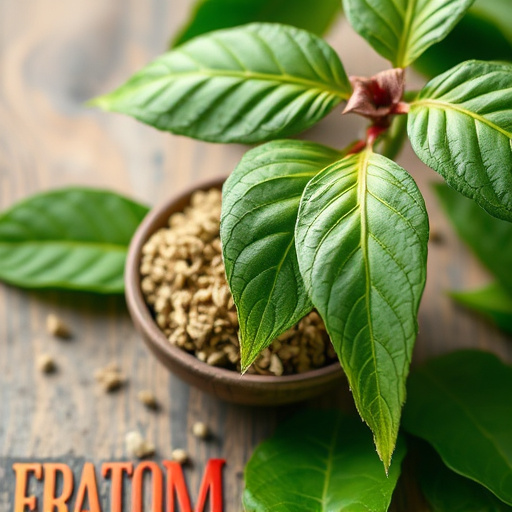 kratom leaves
