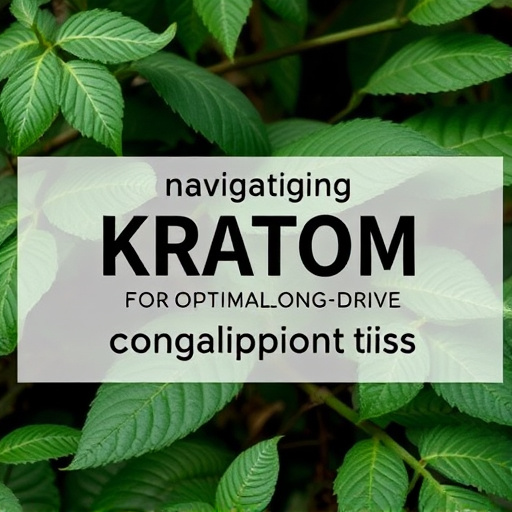 kratom leaves