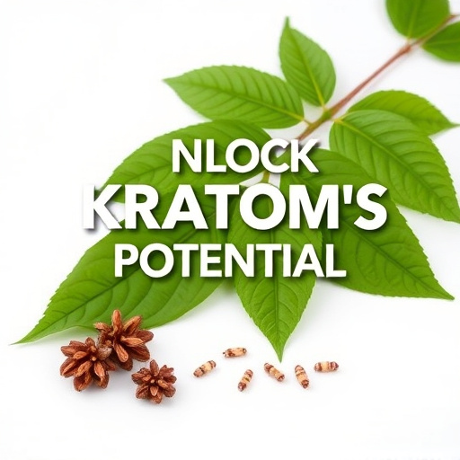 Unlock Kratom's Potential: Comprehensive Shelf Life Guide