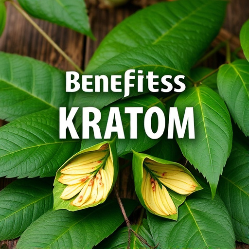 kratom leaves