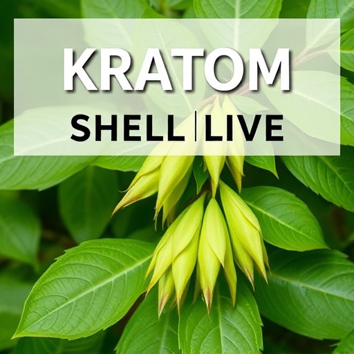 kratom leaves