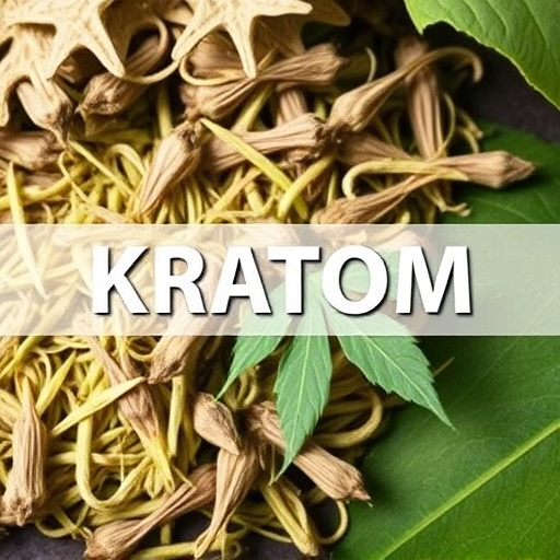 kratom leaves