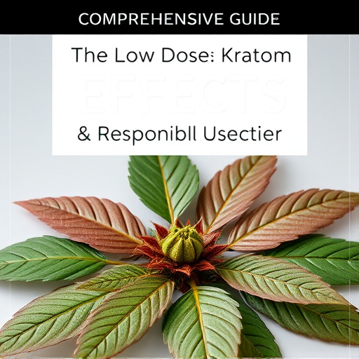 Comprehensive Guide: Low Dose Kratom Effects & Responsible Usage