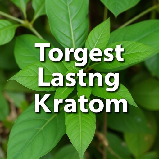 kratom leaves