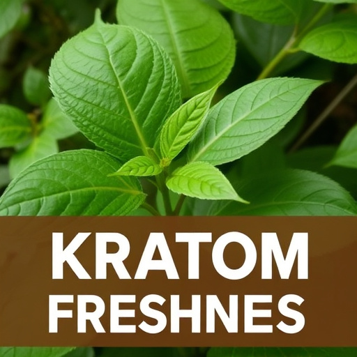 kratom leaves