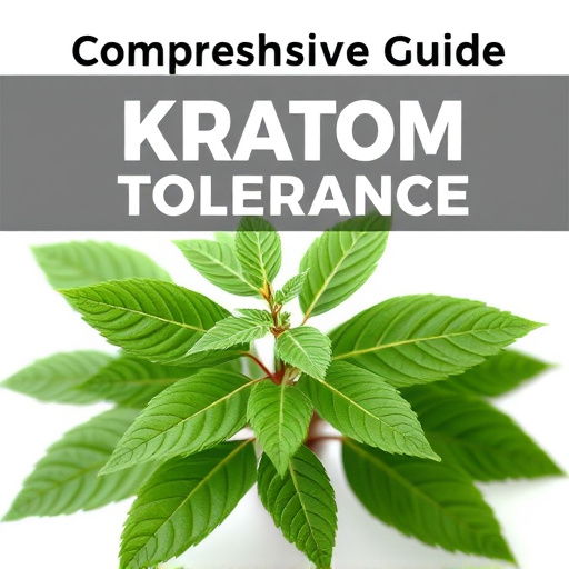 Comprehensive Guide: Kratom Tolerance Explained, Benefits, & Tips