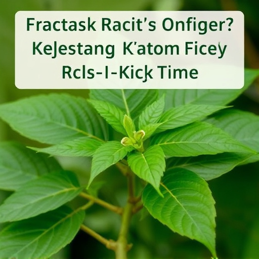 kratom leaves