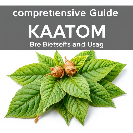 Comprehensive Guide to Bentuangie Kratom Fermented Leaf Benefits and Usage