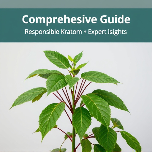 Comprehensive Guide: Responsible Kratom Use & Expert Insights