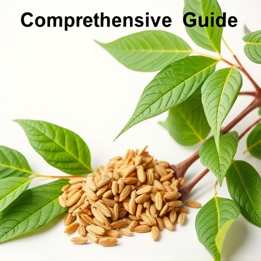 Comprehensive Guide: Test Kratom Freshness, Ensure Quality Potency