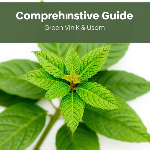 Comprehensive Guide: Green Vein Kratom Benefits and Usage