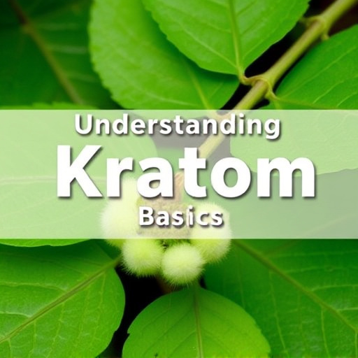 kratom leaves
