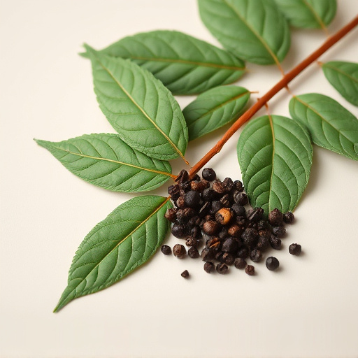 Kratom & Black Pepper Extract: Comprehensive Health Guide
