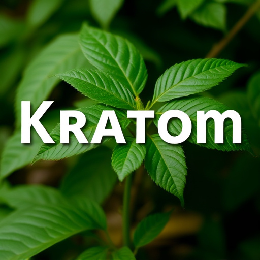 kratom powder