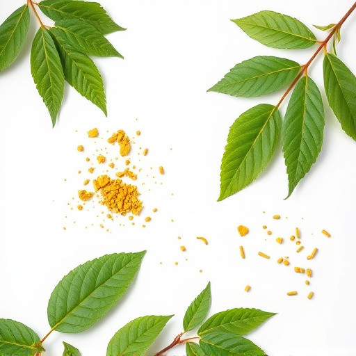 Unveiling Gold Kratom's Power: Comprehensive Overview & Expert Insights