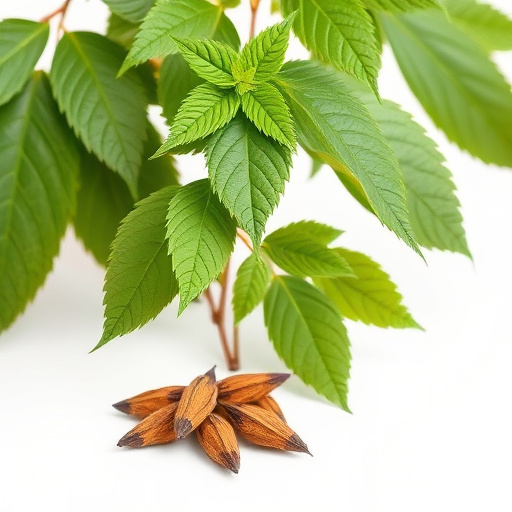 Comprehensive Guide: Does Kratom Show on Drug Tests?