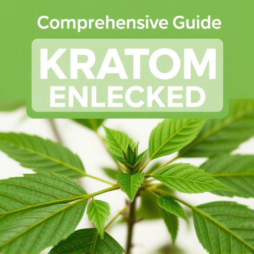Comprehensive Guide: Kratom for Energy Unlocked