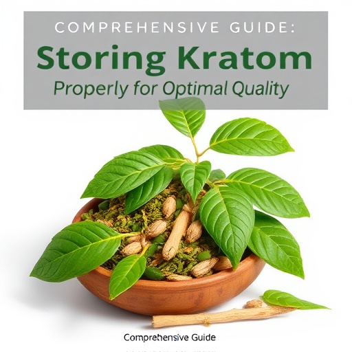 Comprehensive Guide: Storing Kratom Properly for Optimal Quality