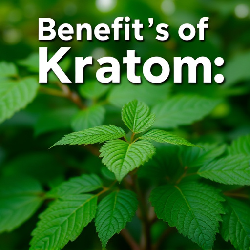 kratom powder