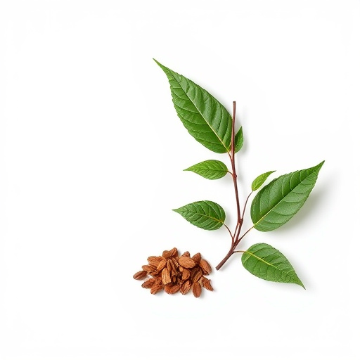 Unlock Instant Relief: Guide to Fastest Acting Kratom Strains