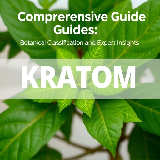 Comprehensive Guide: Kratom Botanical Classification and Expert Insights