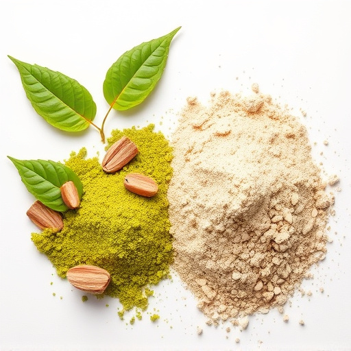 Kratom Extract vs Powder: Unveiling Key Differences and Benefits