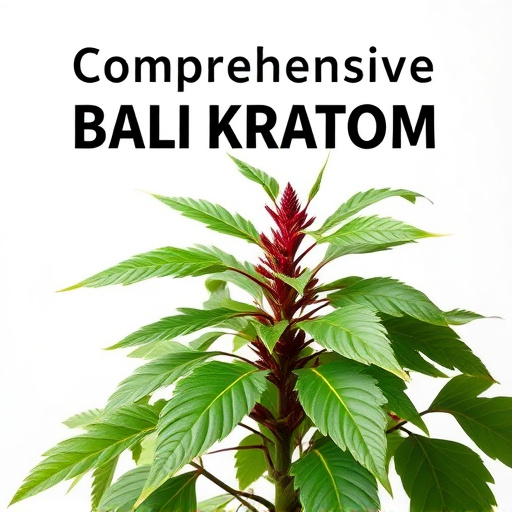 Comprehensive Bali Kratom Guide: Benefits, Usage, Expert Insights