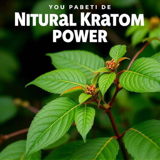kratom powder