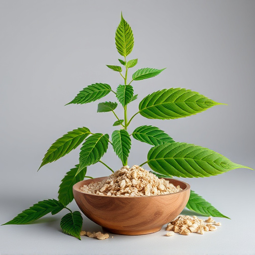 Mastering Kratom Freshness Test: Expert Guide to Quality Assurance