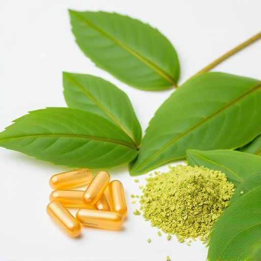 Comprehensive Guide: Kratom Capsules vs Powder Comparison