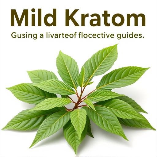 Mild Kratom Strains: Comprehensive Guide to Benefits and Usage