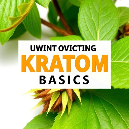 kratom powder